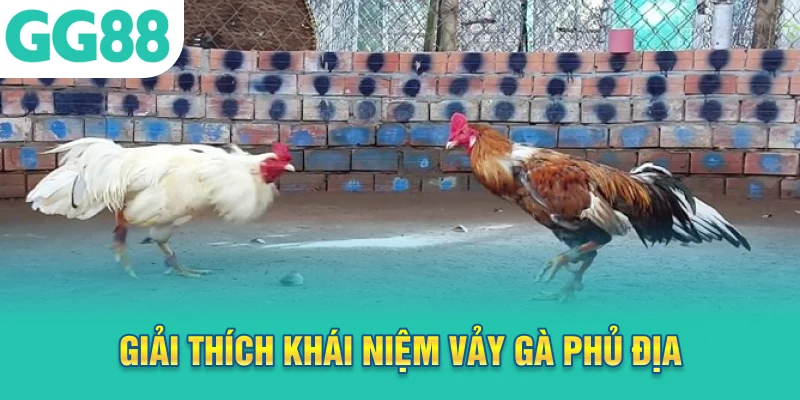 Giải thích khái niệm vảy gà phủ địa